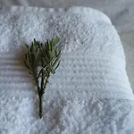 B&B Cedarblue