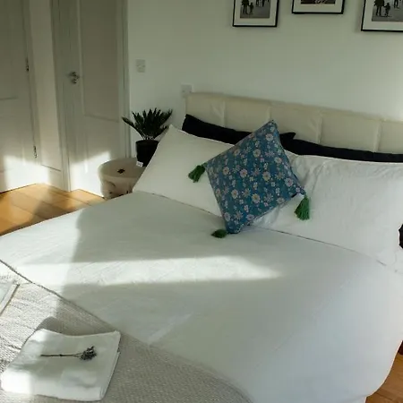 Cedarblue 3* Dungarvan (Waterford)