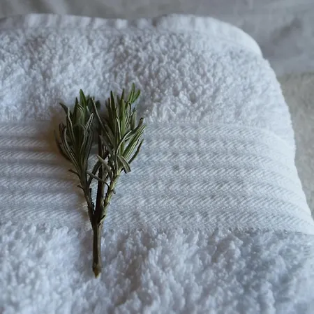 Oda ve Kahvaltı Cedarblue