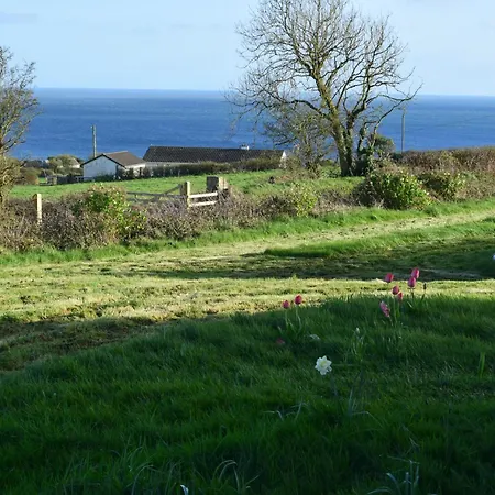 Cedarblue Oda ve Kahvaltı Dungarvan (Waterford)