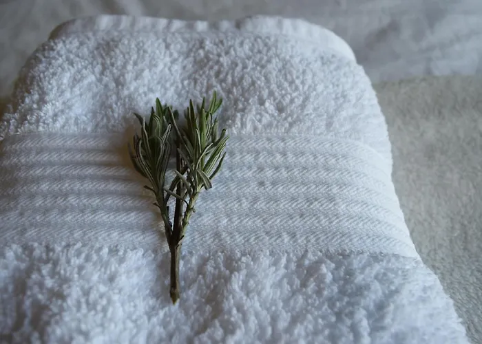 Couette-café Cedarblue